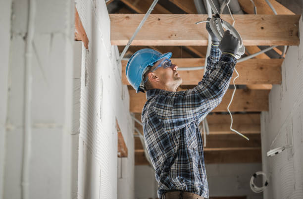 Best Electrical System Inspection  in Phillipsburg, GA